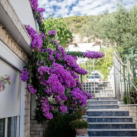 House Subic Apartment *